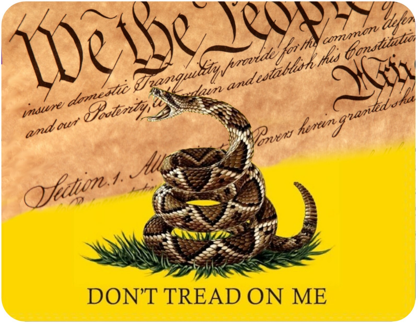 We The People with Gadsden Flag – Magnetic Flexible Sign/Poster