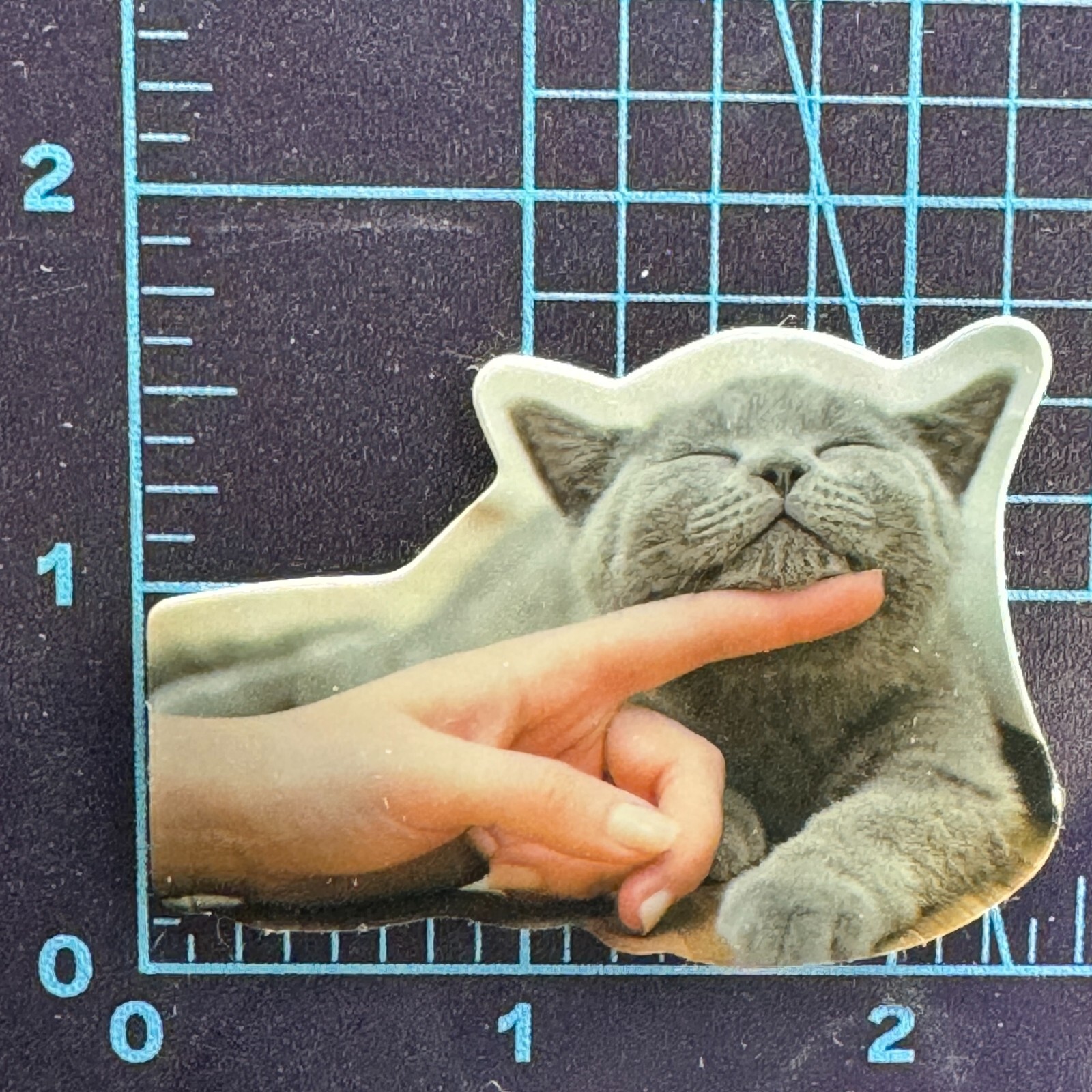 Cat Life OK You can Scratch my CHIN – Cat World – Vinyl Decal Sticker Bomb Meme