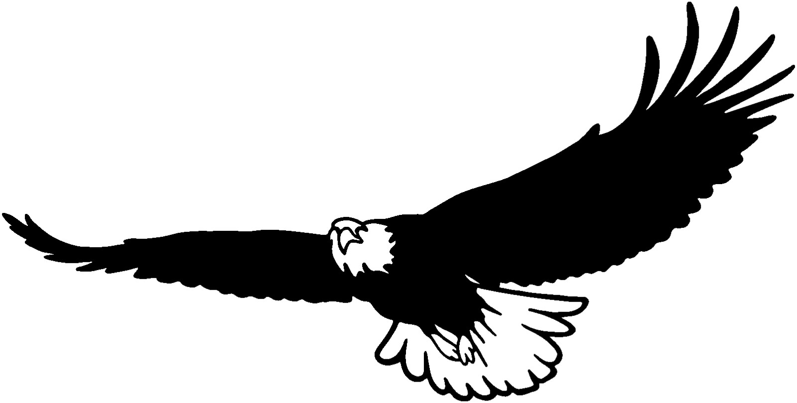 Bald Eagle Decal STB 25= Vinyl Window Decals for Truck, Car any Smooth Surface