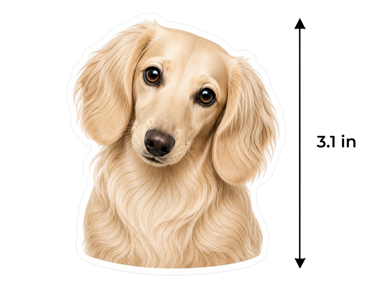 Dachshund Dog Decal Sticker Weather Resistant Car Laptop Window
