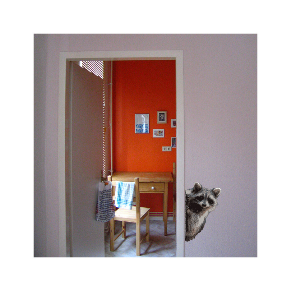 Raccoon Peering Around Wall Decal – 11″ tall x 7″ wide