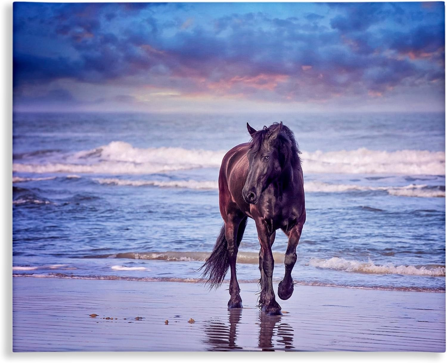 Wild Horse on Beach Colorful Blue Sunset, Gallery Wrapped Canvas, 30 X 40