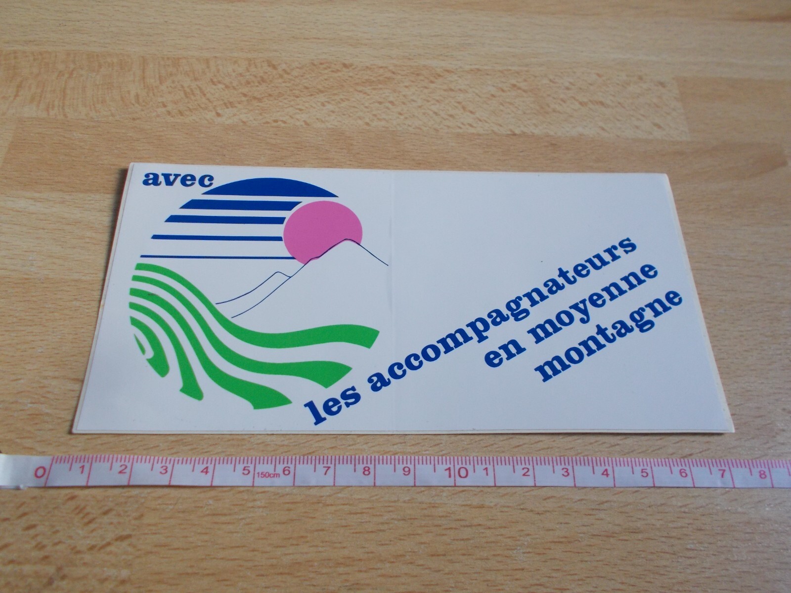 Sticker All Accompagnateurs IN Medium Mountain