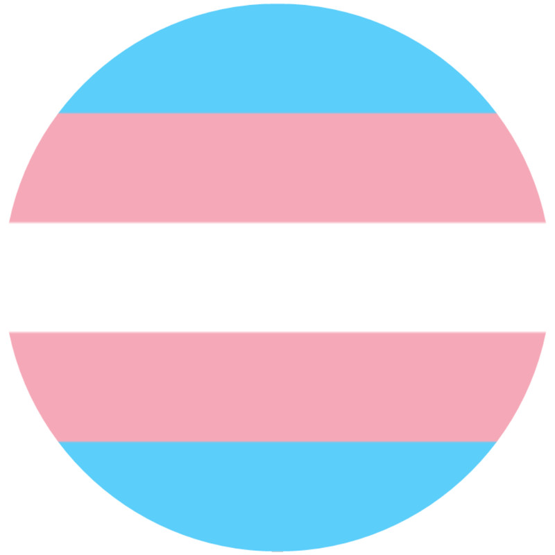 Transgender Pride Flag – 100 Pack Circle Stickers 3″ x 3″ – LGBTQ+ Support