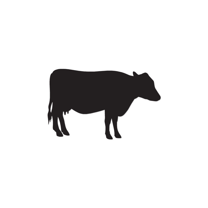 Cow Bull Angus – Vinyl Decal Sticker – Multiple Color & Sizes – ebn826