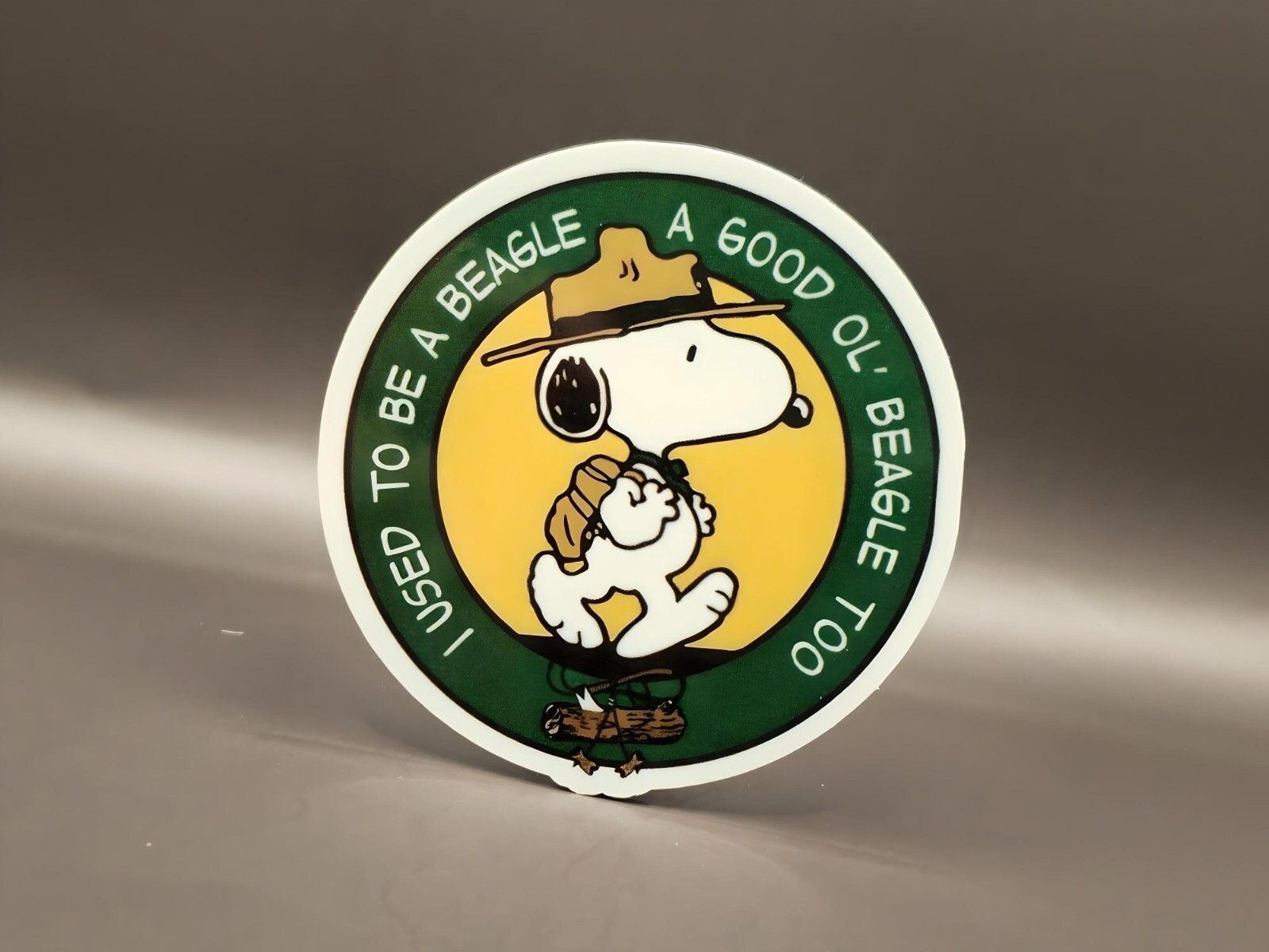 The Peanuts Inspired Stickers Snoopy Charlie Brown Woodstock Cartoon Decals