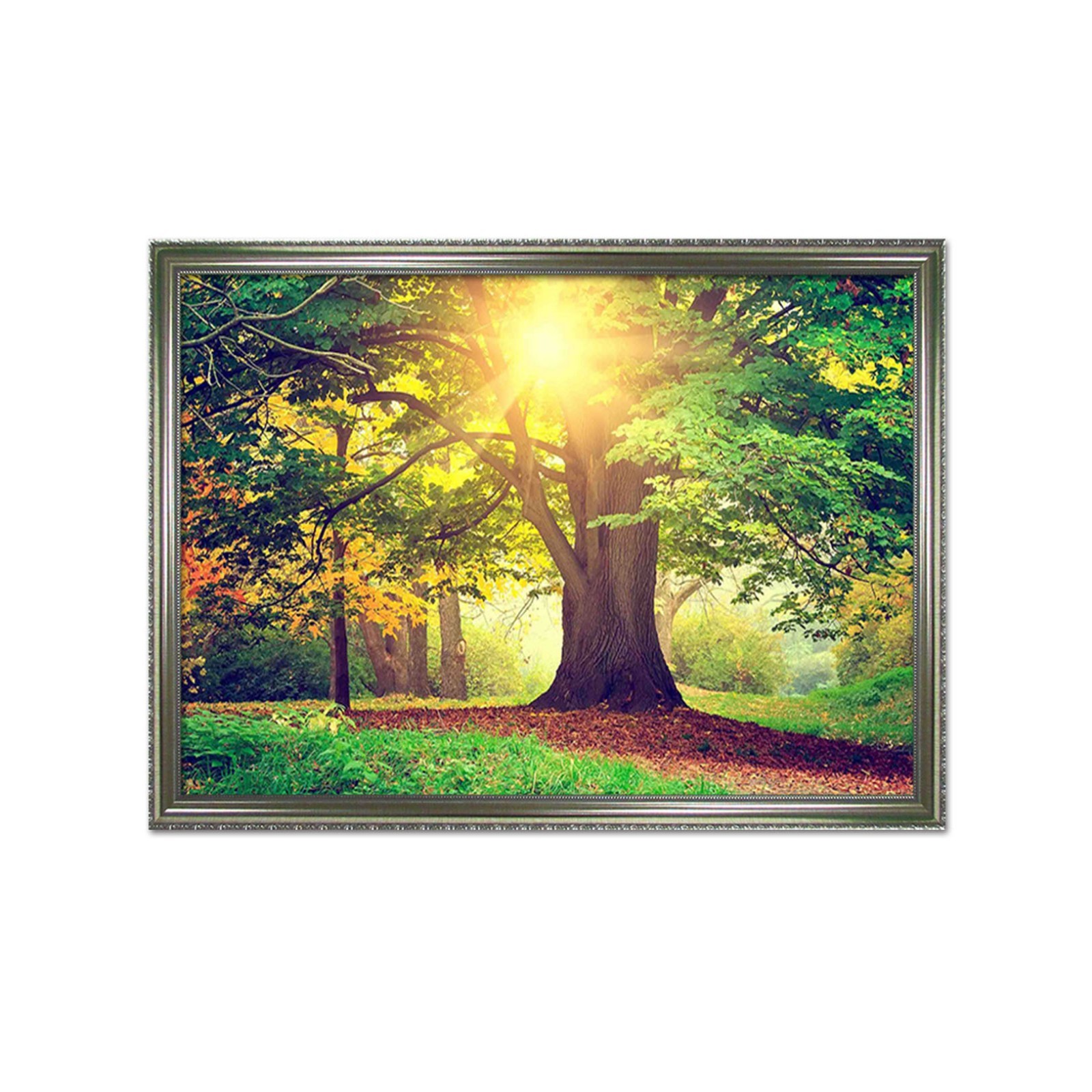 3D Sunshine Tree 622 Framed Poster Home Decor Print Painting Art AJ WALLPAPER