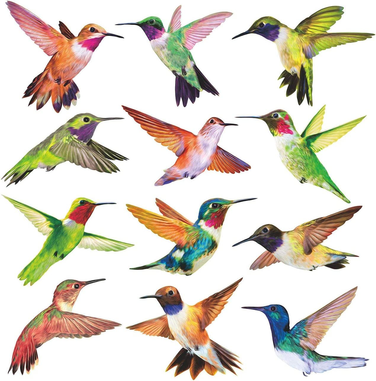Anti-Collision Window Clings Bird Alert Collision Decals to Prevent Bird Strikes