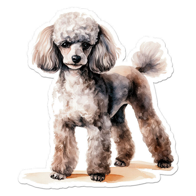 Poodle Dog Sticker Decal