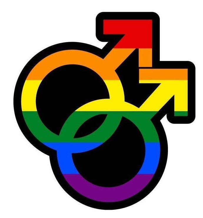Double Male Gender Symbol Sticker Decal Pride Flag LGBTQ Gay Lesbian Community