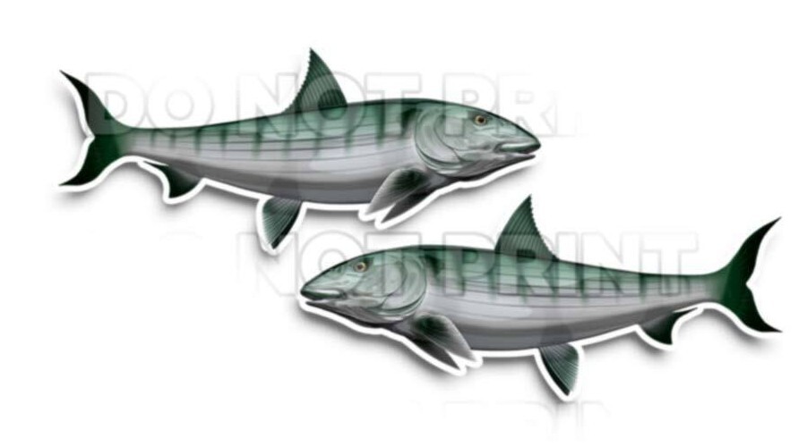 Bonefish Decals Fish Stickers Vinyl Tackle Box Stickers – Set of 2 #153