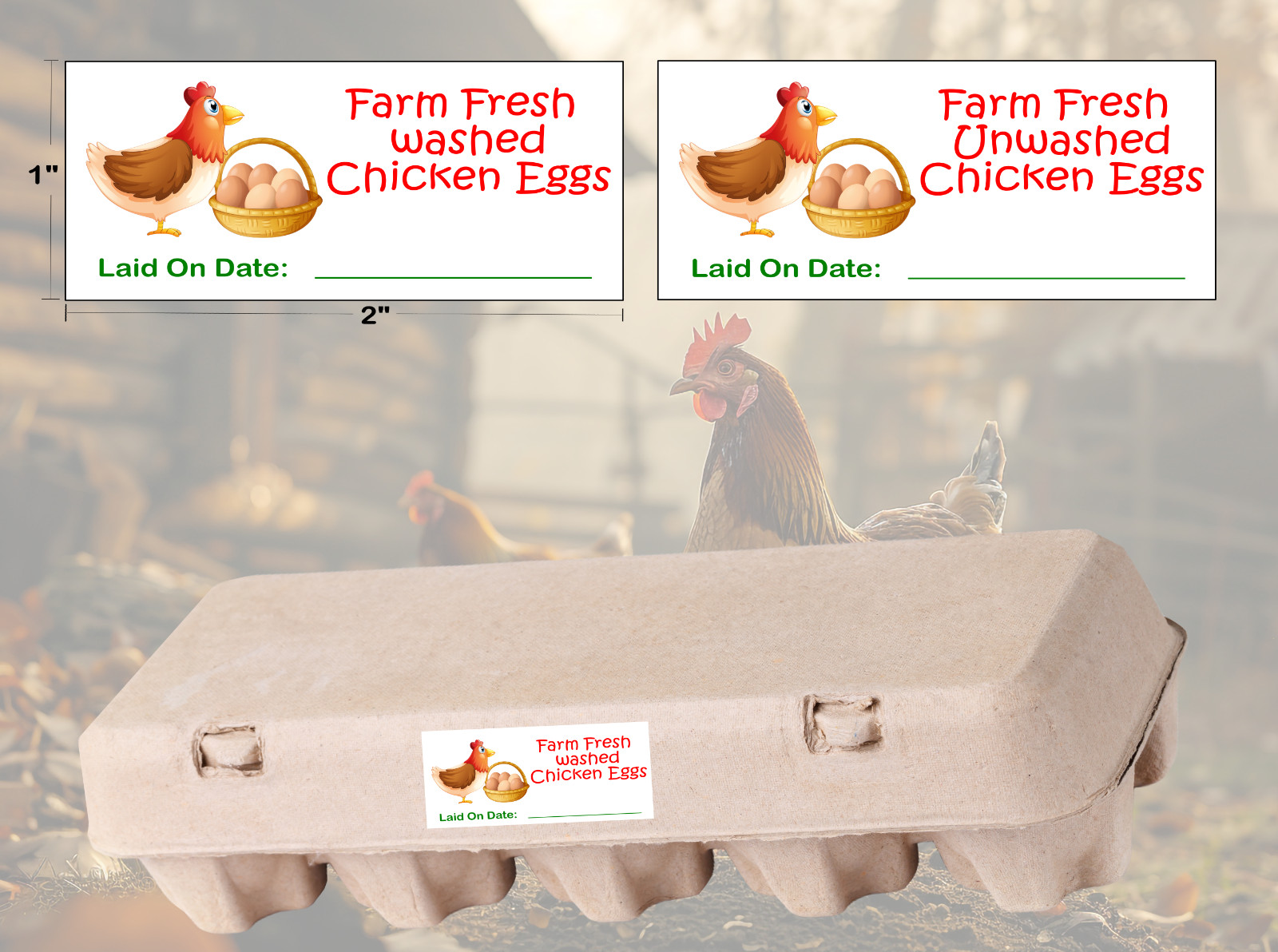 Farm Fresh Chicken Egg Stickers,Egg Carton Labels,Wash & Unwashed Egg Stickers