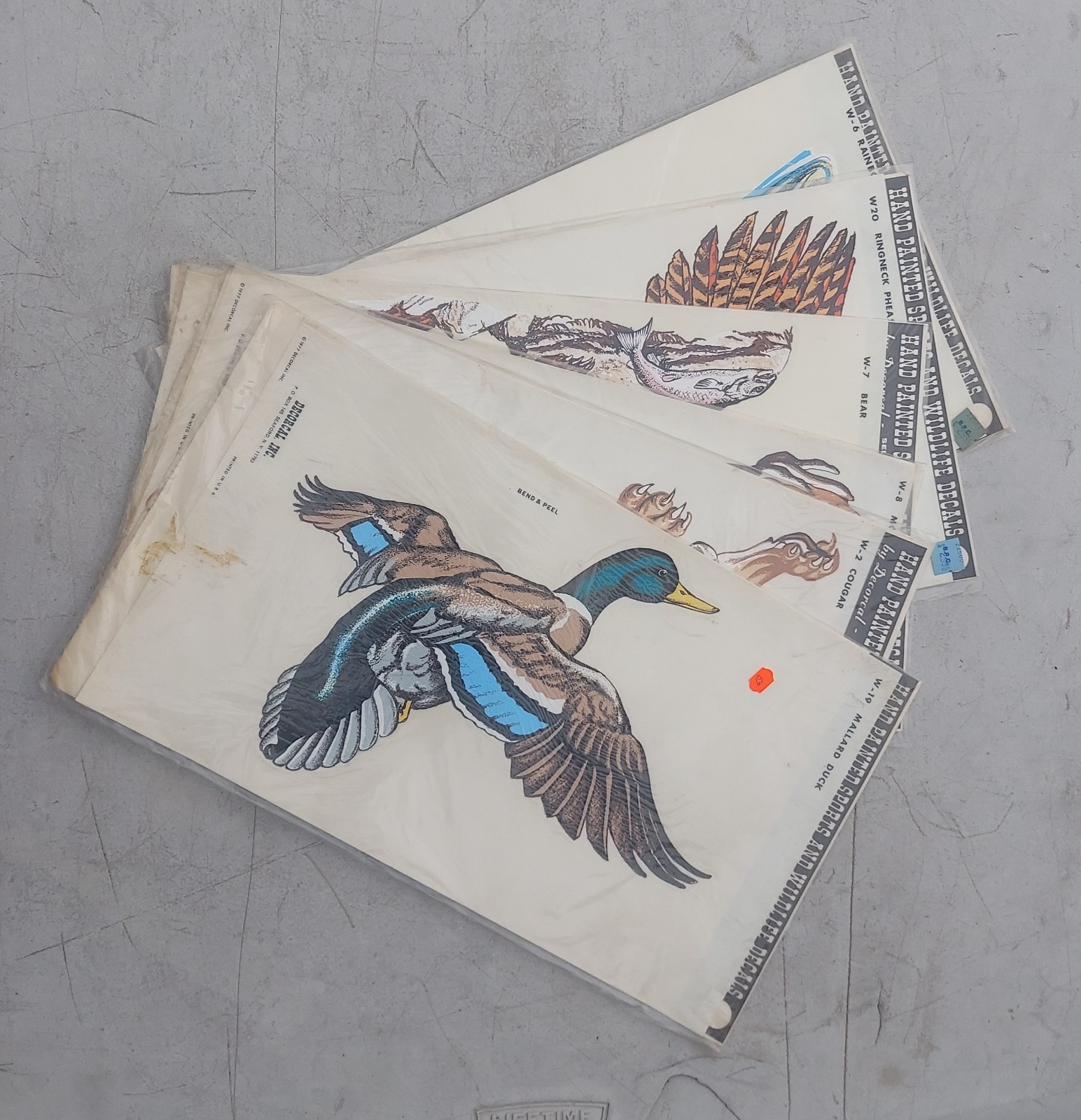 Vtg Wildlife Window Decals Lot Of 4 NOS Bear Moose Cougar Duck 1970’s Hunting
