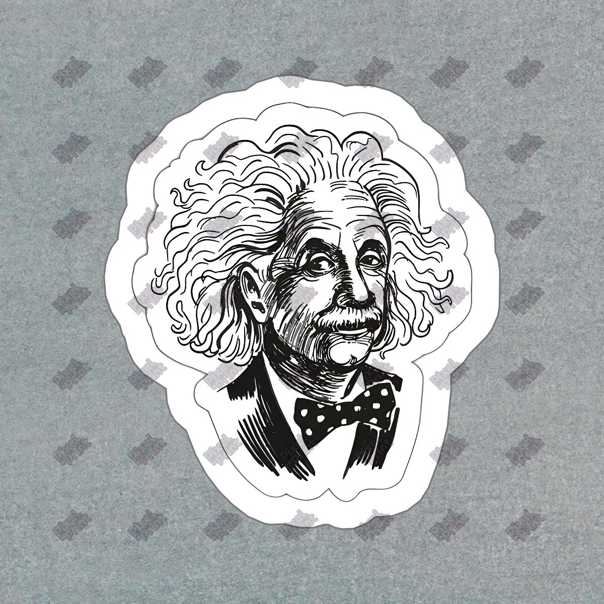 Vintage Albert Einstein Vinyl Sticker Science Decal Educational Decor #590635