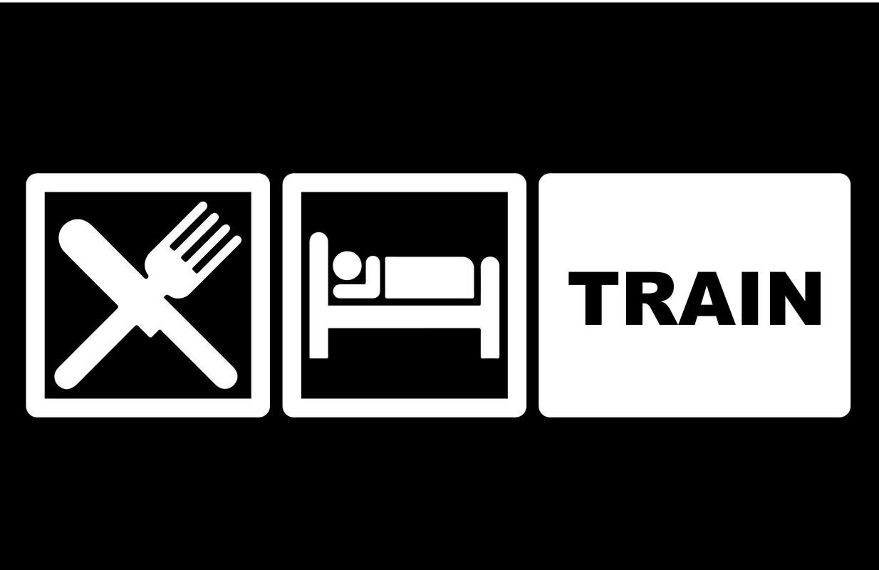 CMI DD854 Eat Sleep Train Decal Sticker | 7.5-Inches By 2.5-Inches | Premium