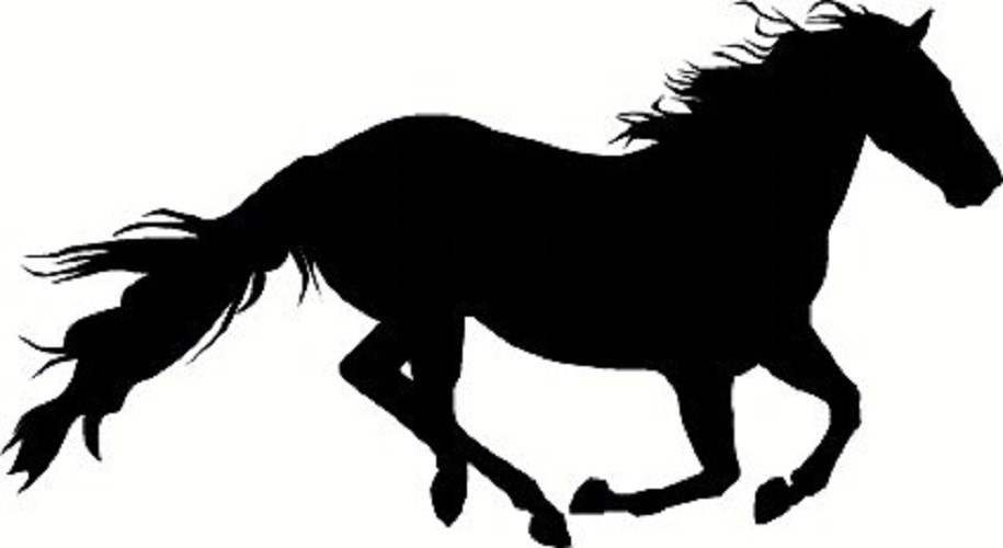 HORSE Vinyl Decal Sticker Car Truck Van Bumper Laptop Wall Case MUSTANG STALLION