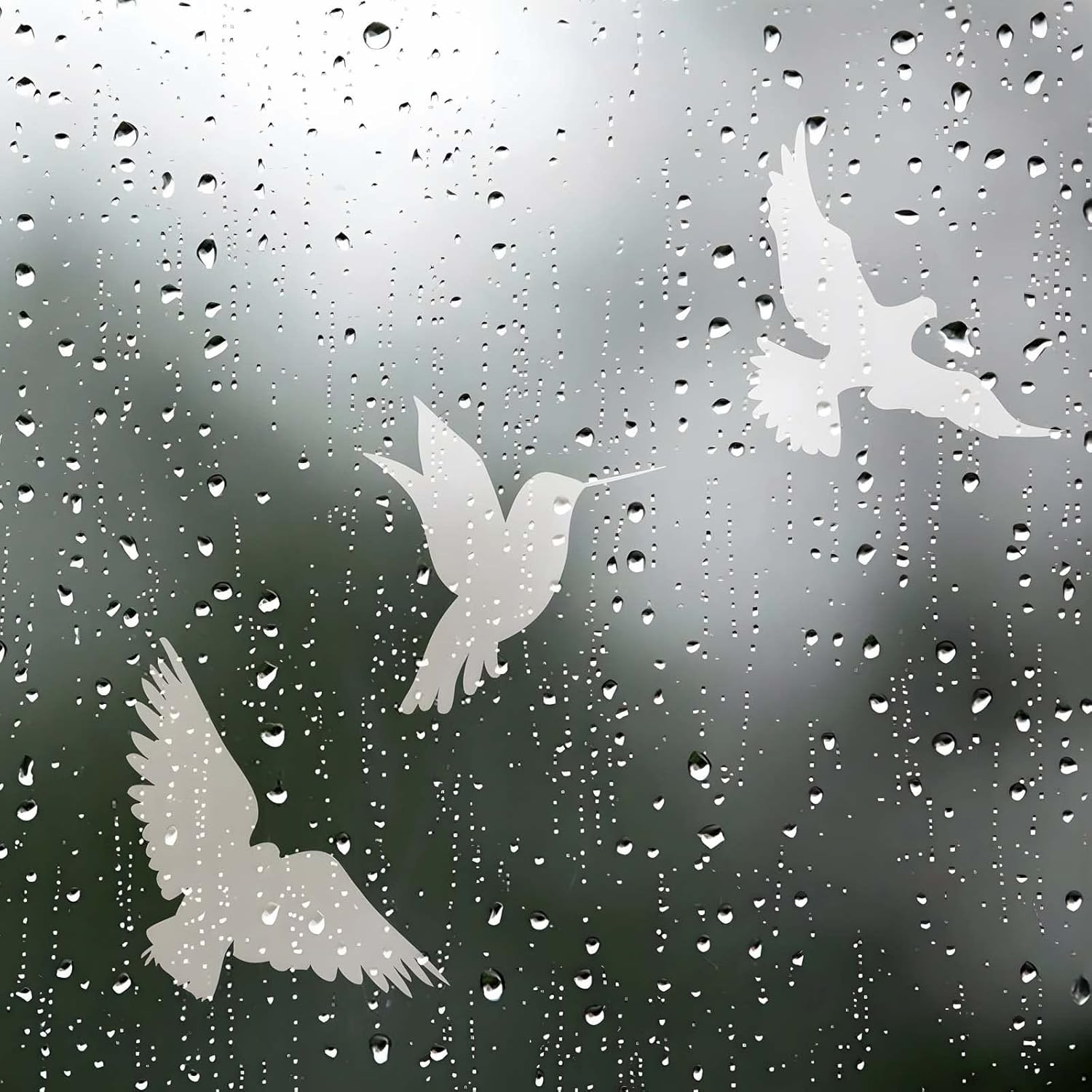 16 Pieces Window Decals to Prevent Bird Strikes, Hummingbird anti Collision Wind