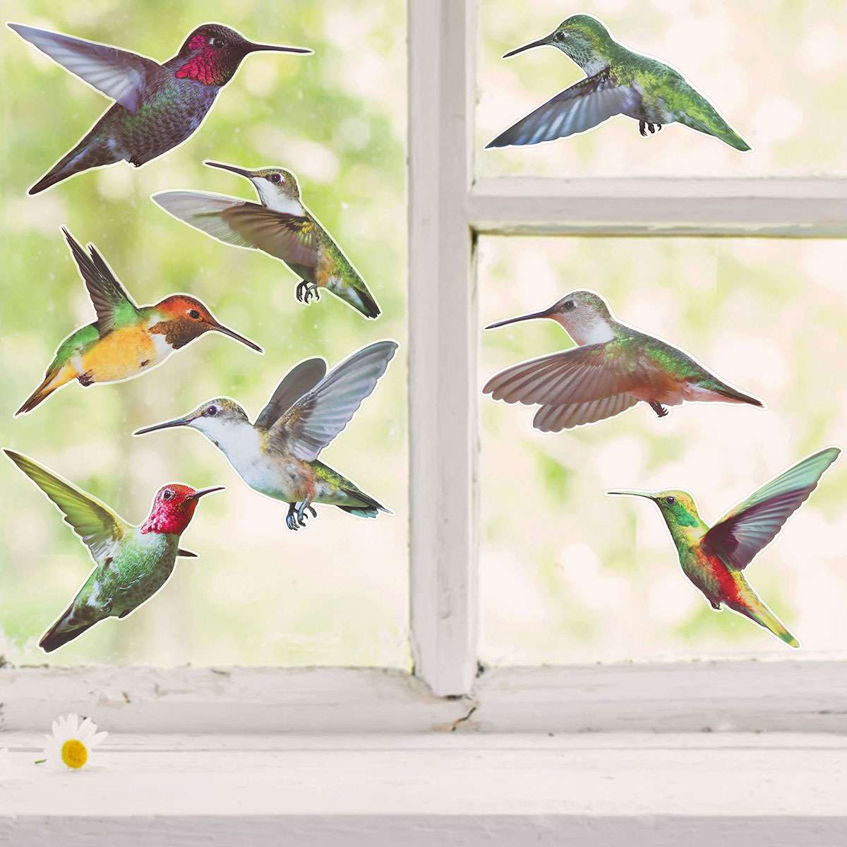 Hummingbird Window Clings Non Adhesive Vinyl Stickers Beautiful Glass Decals