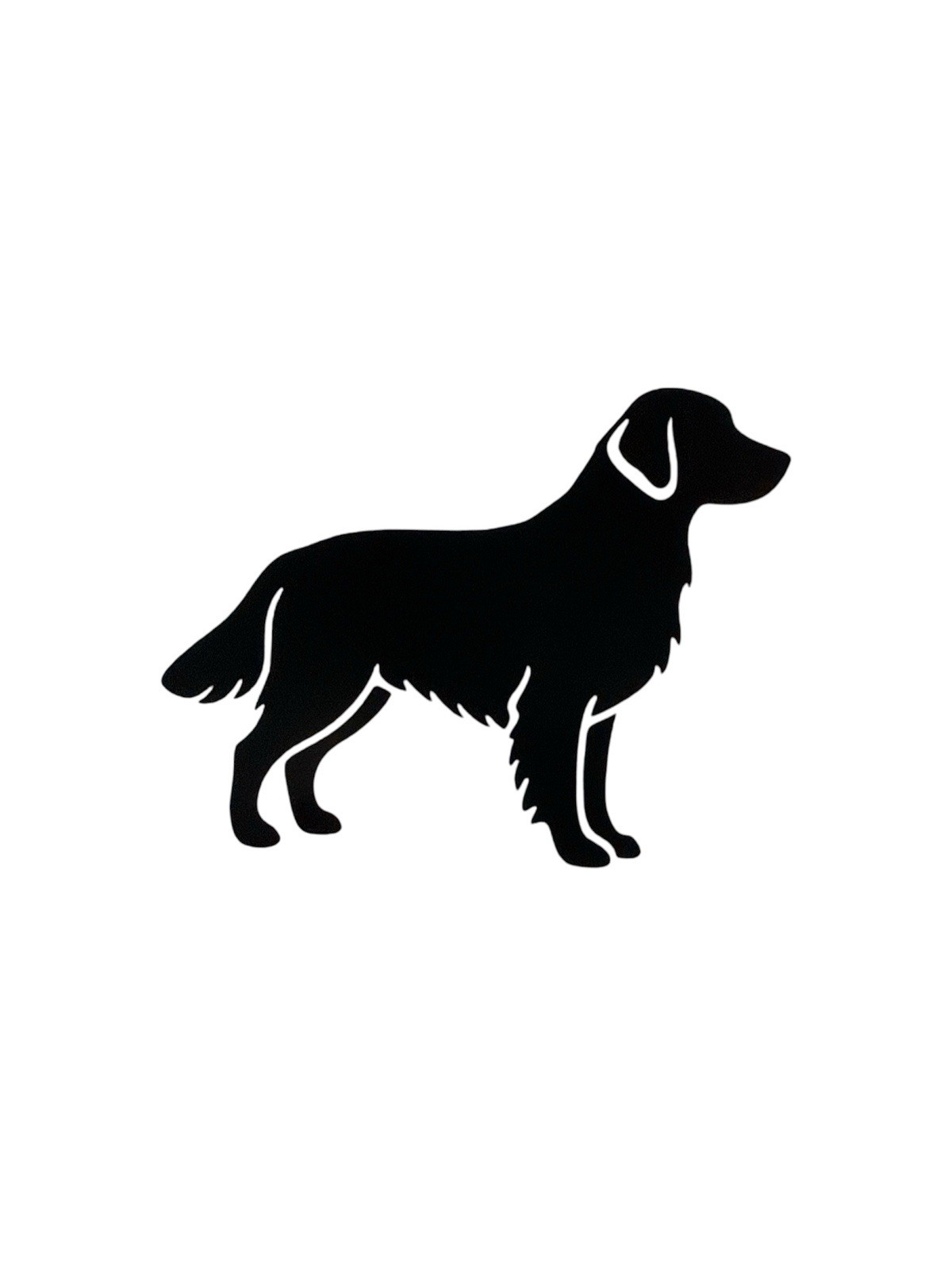 Golden retreiver Decal for car Windows Laptops most Smooth Surfaces