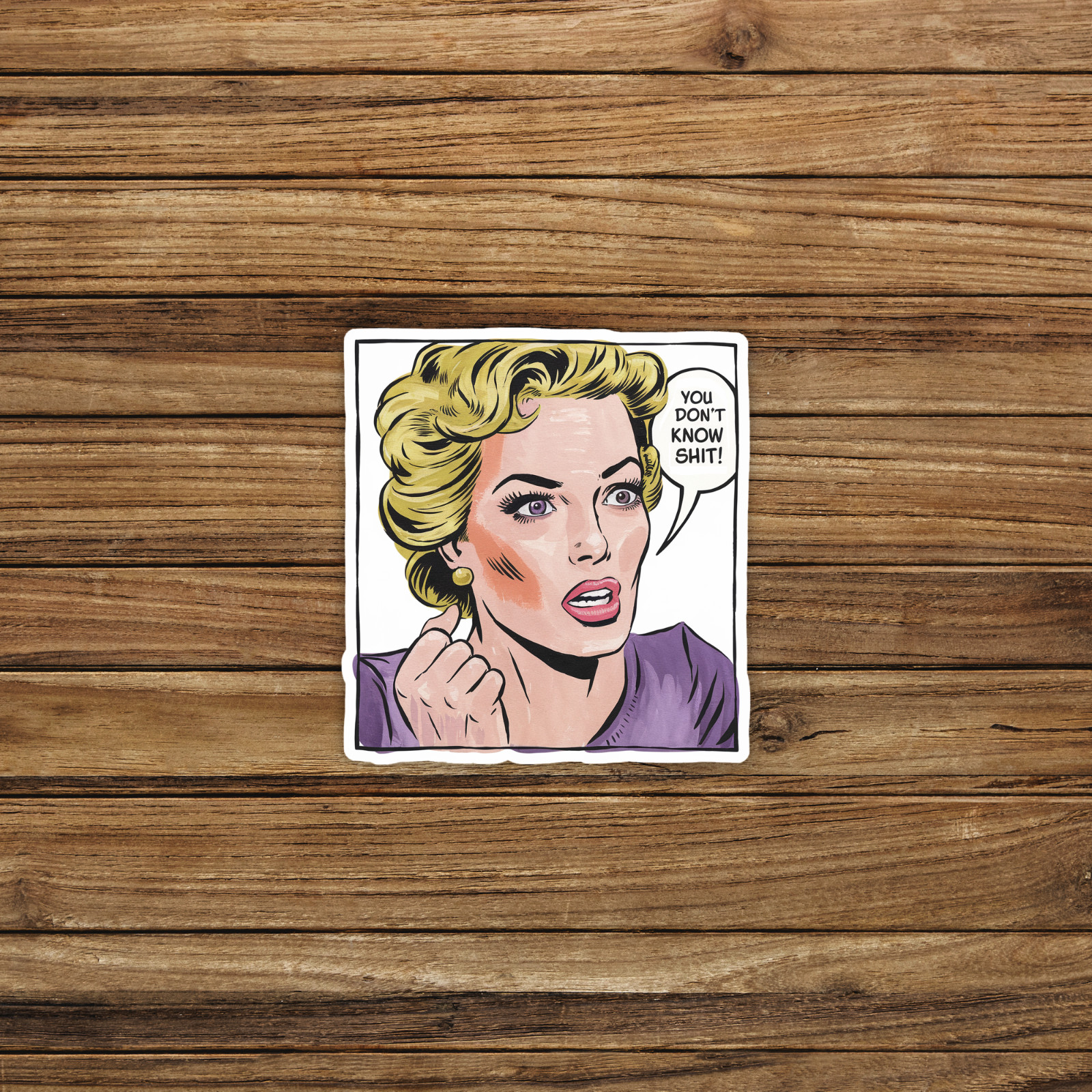 Vintage Pop Art Woman You Don’t Know Sh!t Funny Sticker #465