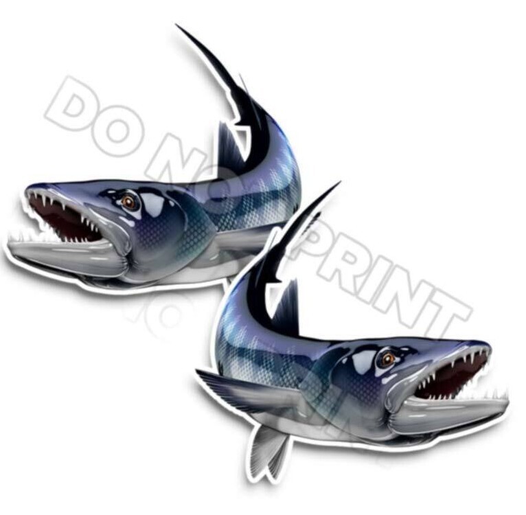 Barracuda Decals Fish Stickers Vinyl Tackle Box Stickers – Set of 2 #127