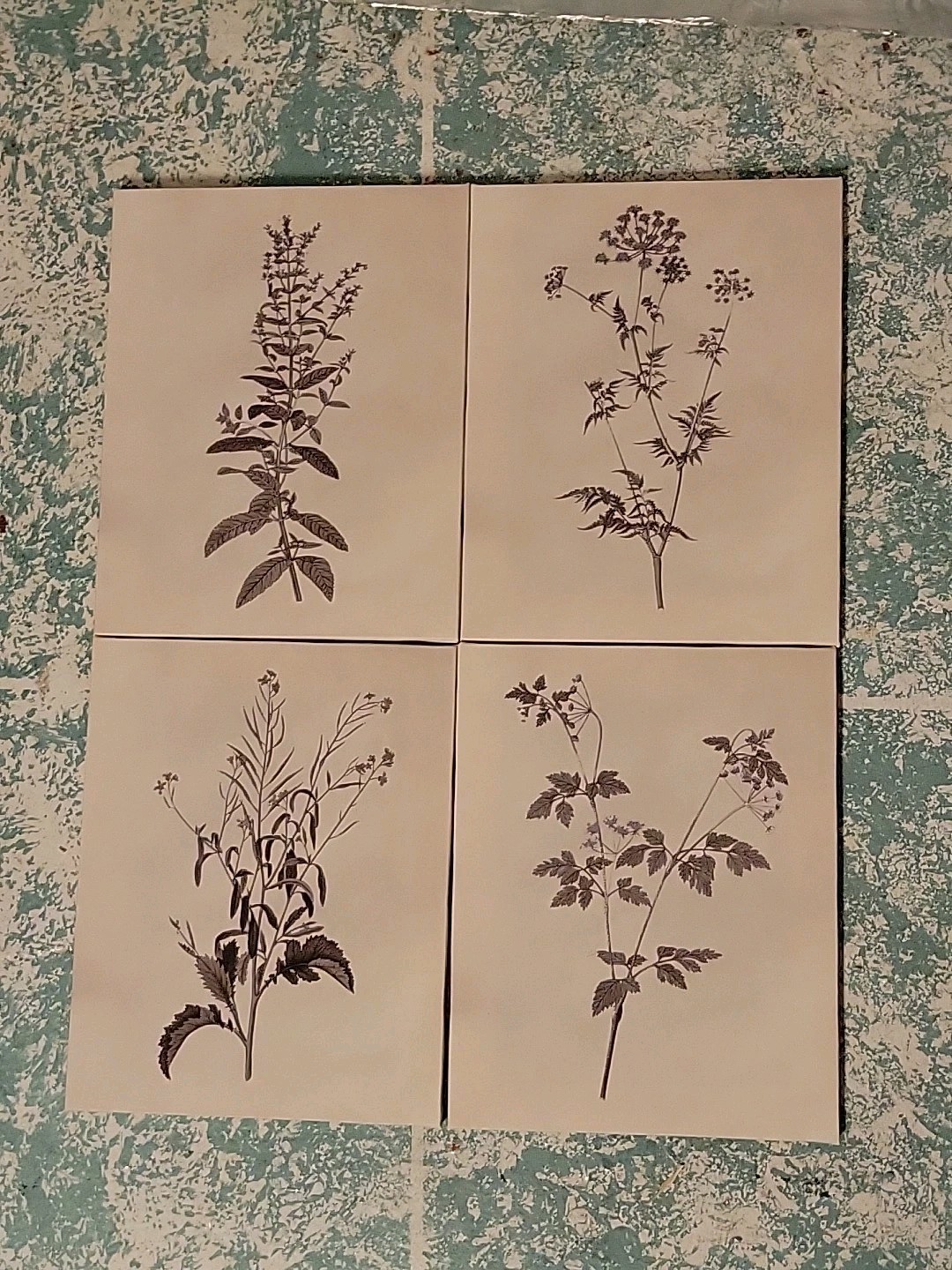 Set Of 4 8×10 Botanical Wall Art Plant Flower Prints Boho Floral Ready To Hang!