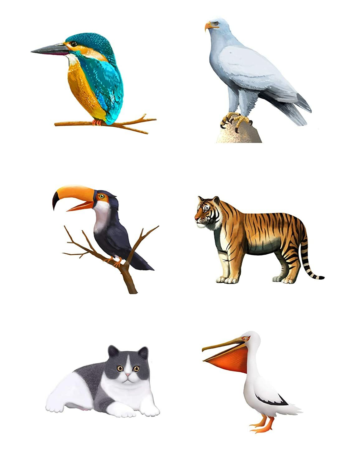 Baby Animals Peel and Stick Removable Wall Stickers for Kids Nursery Bedroom