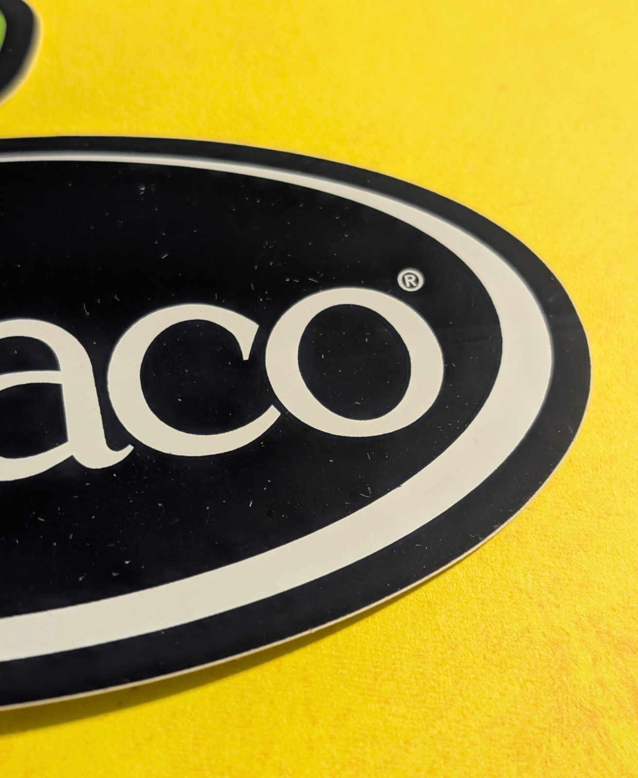 Chaco Lizard Logo Sticker – Black White Green – Outdoor Footwear Sandals Gear