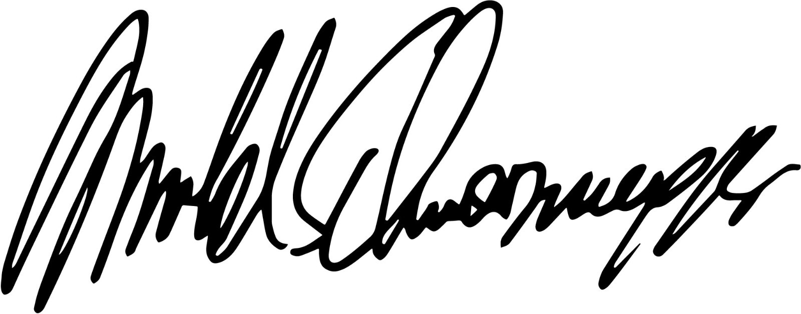 Arnold Schwarzenegger vinyl sticker autograph sticker terminator comando action