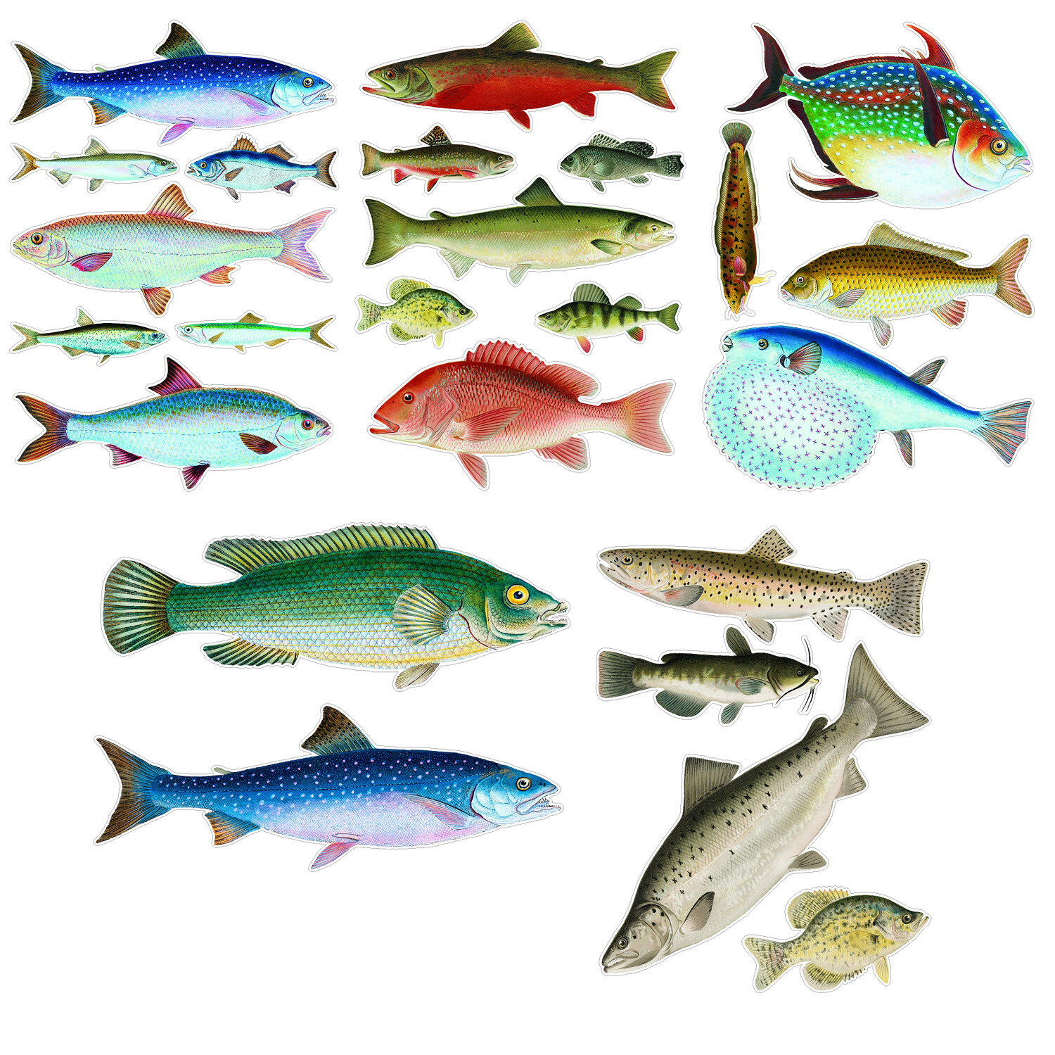 Vinyl Wall Stickers/VINTAGE COLORFUL FISH/Waterproof, Outdoor, Wall-Safe