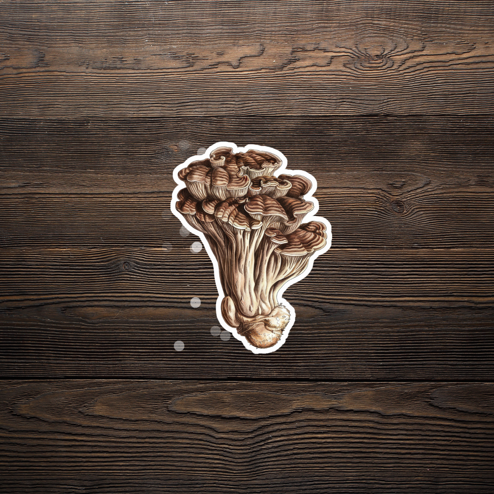 Vintage Mushroom Cluster Botanical Illustration Sticker – Brown Fungi Drawing #2