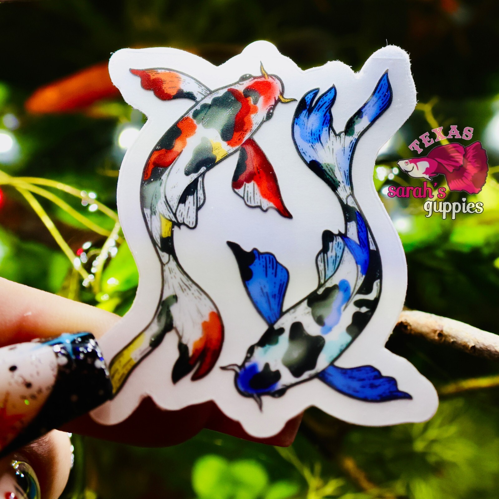 Koi Fish Sticker: Clear Background🐠💕 Sarah’s Guppies Premium Homemade Designed