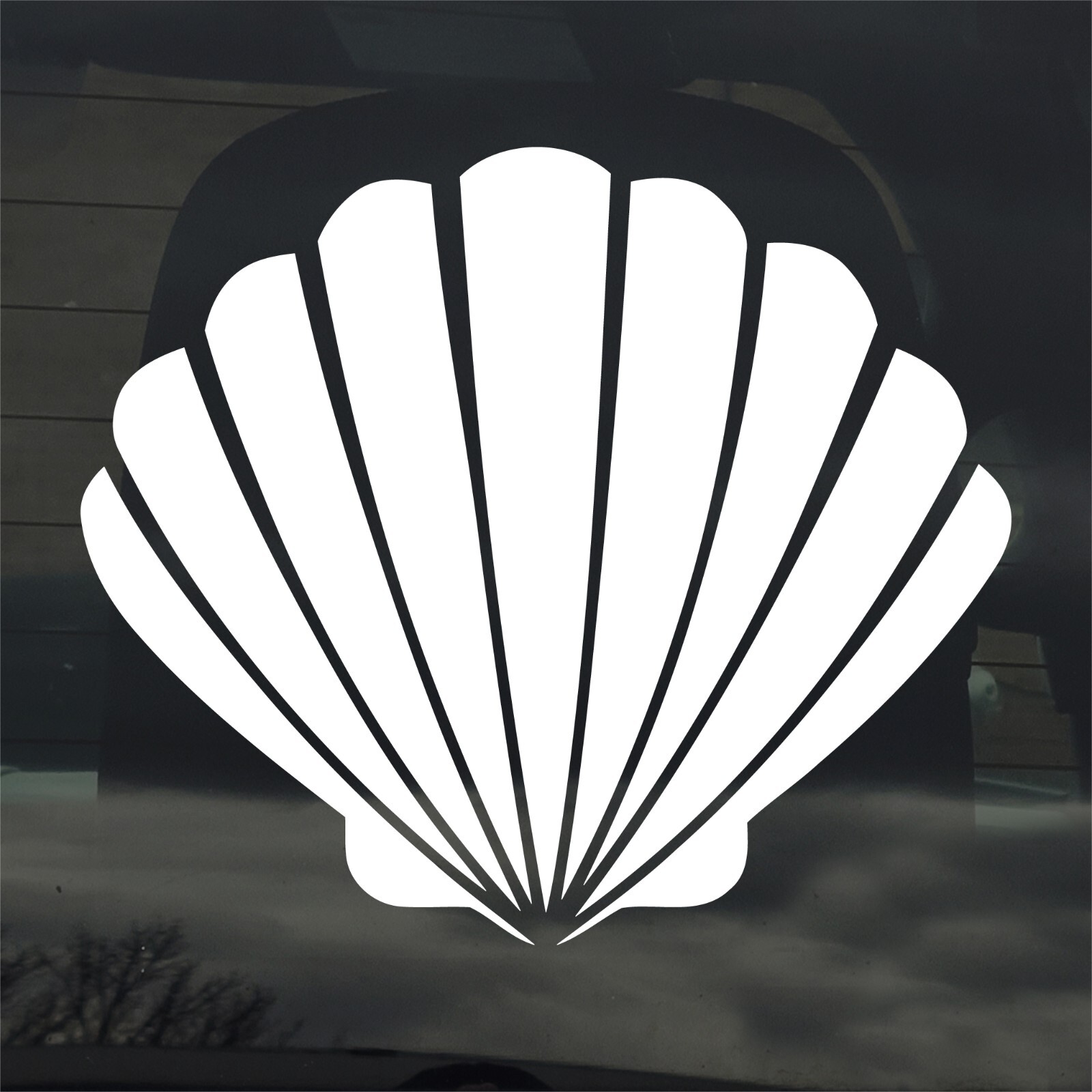 Sea Clam Shell Custom Vinyl Sticker / Decal Beach Ocean Art Beachcombing