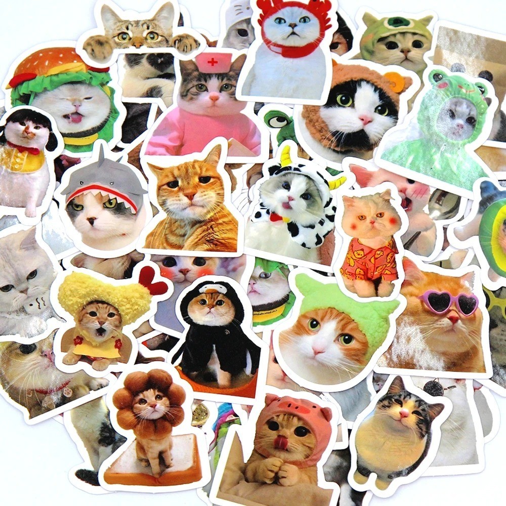 100pcs Funny Cat Meme Stickers Cartoon Decals For Guitar Phone Bicycle Laptops