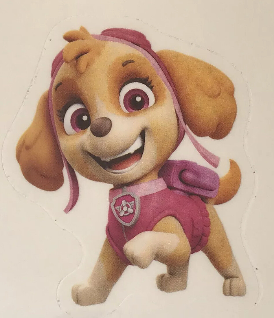 PAW PATROL 8 Removable Wall Decals Ryder Chase Marshall Skye Kids Room No Damag