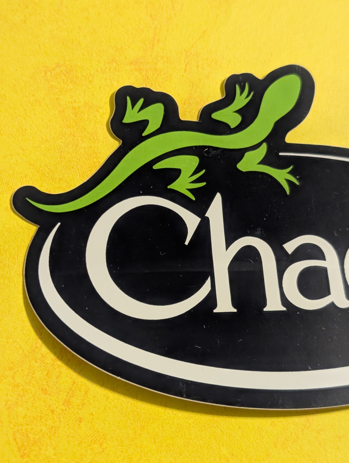 Chaco Lizard Logo Sticker – Black White Green – Outdoor Footwear Sandals Gear