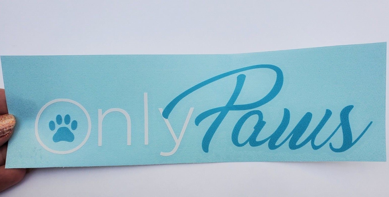 Only Paws Decal, Funny Bumper Sticker, 2 color, Onlyfans inspired logo