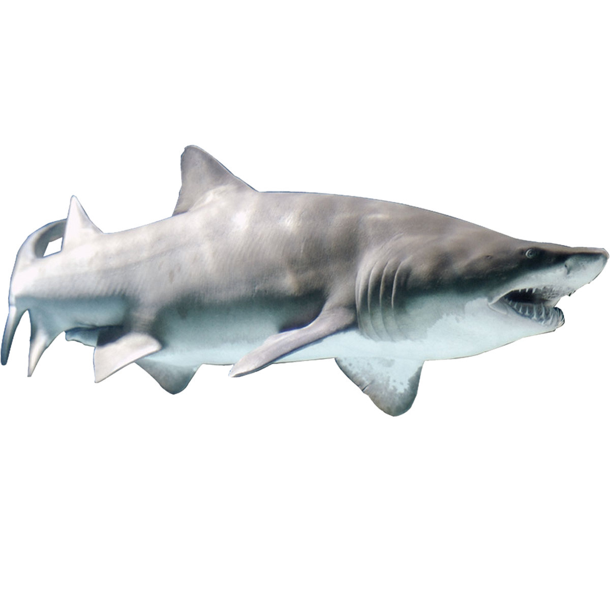 VWAQ Realistic Shark Wall Decal Sand Shark Sticker Marine Life Mural