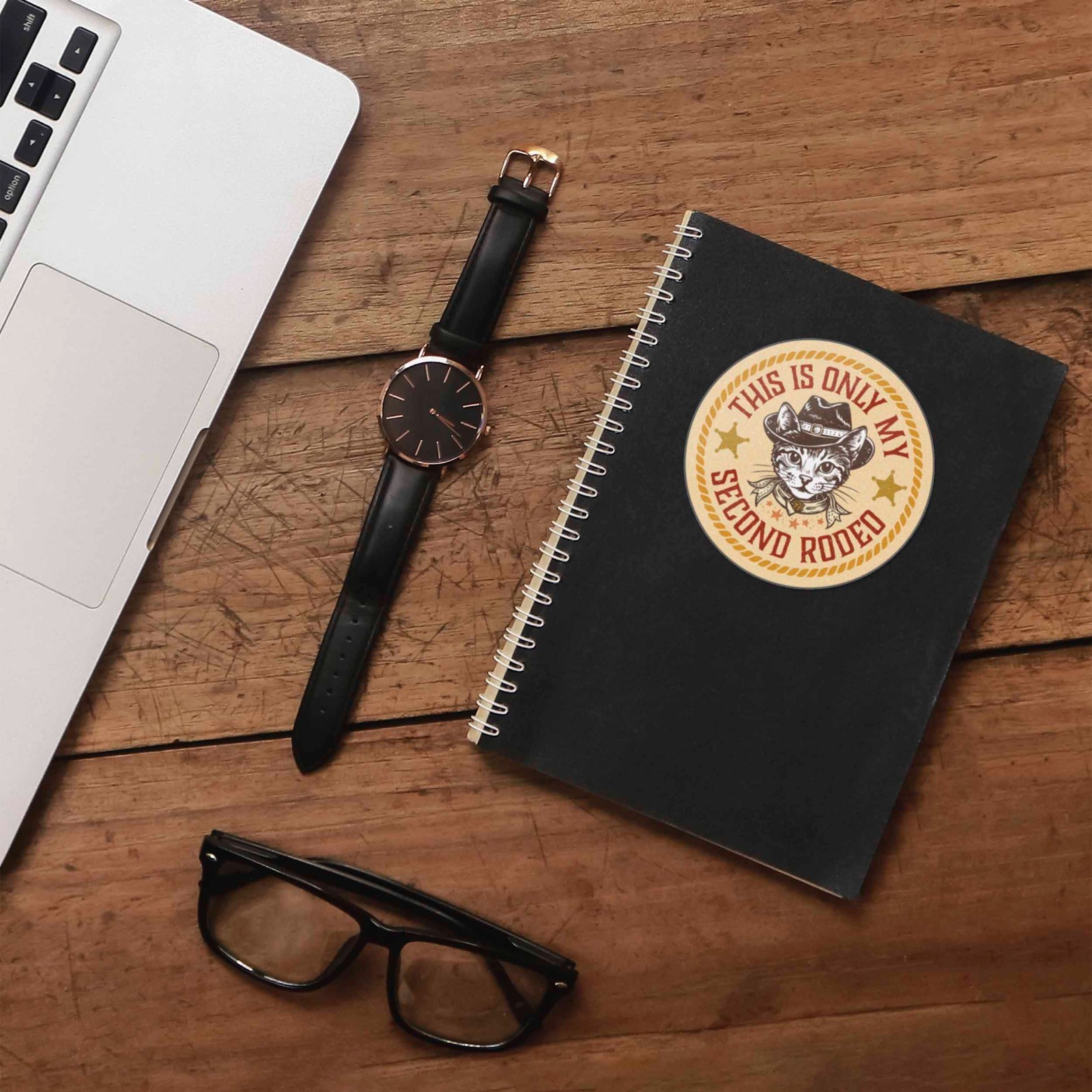 This is Only My Second Rodeo Sticker – Funny Cat Decal for Laptop & Water Bottle