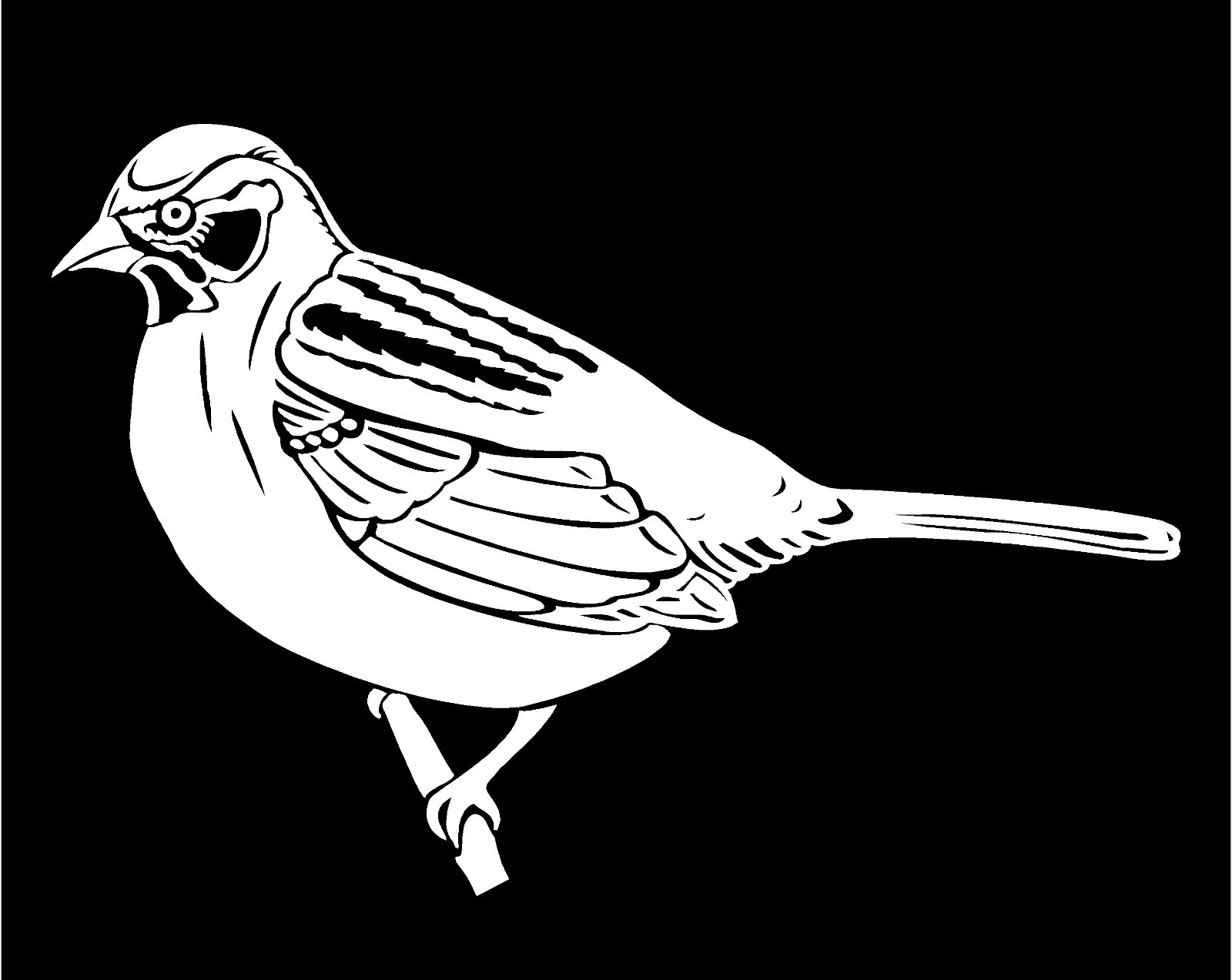 Sparrow Vinyl Decal Backyard Bird Sticker avian window graphic sticker