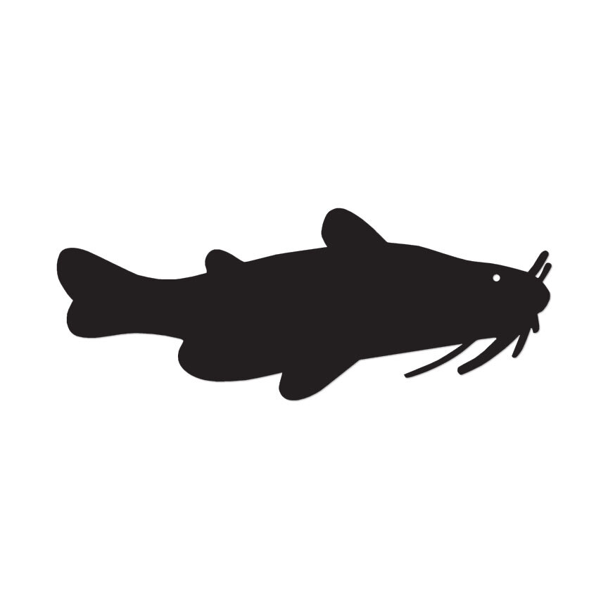 Catfish Fish – Vinyl Decal Sticker – Multiple Colors & Sizes – ebn3245