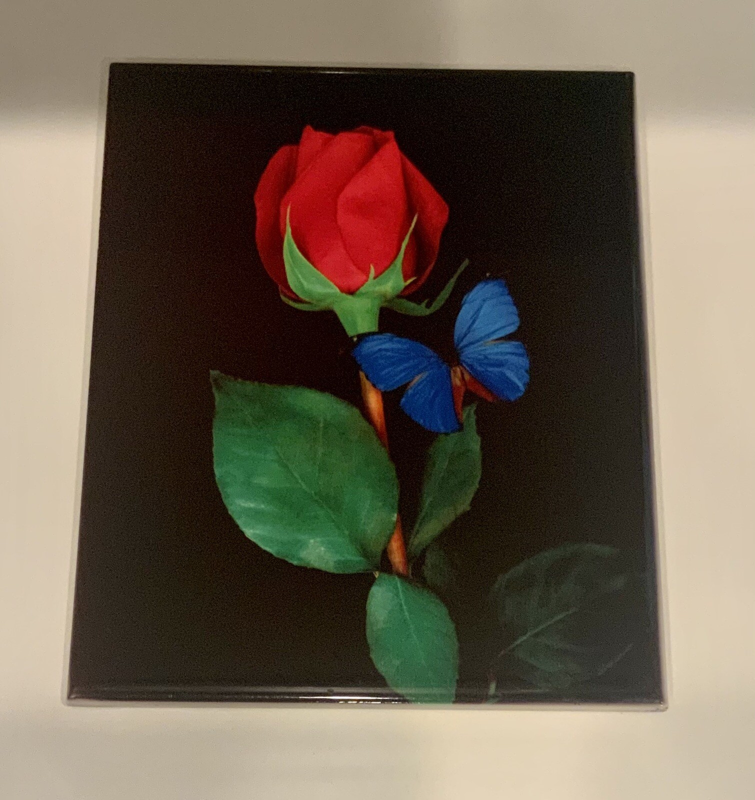 Blue Butterfly Rose Ceramic Tile Wall Decor 10″ x 8″ with D Hook Ready to Hang
