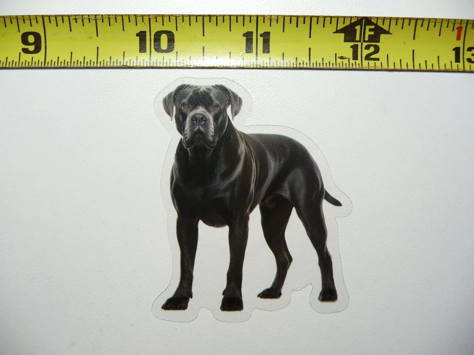 CANE CORSE ITALIAN MASTIFF DOG SMALL STICKER DECAL PET COLORFUL BEST FRIEND