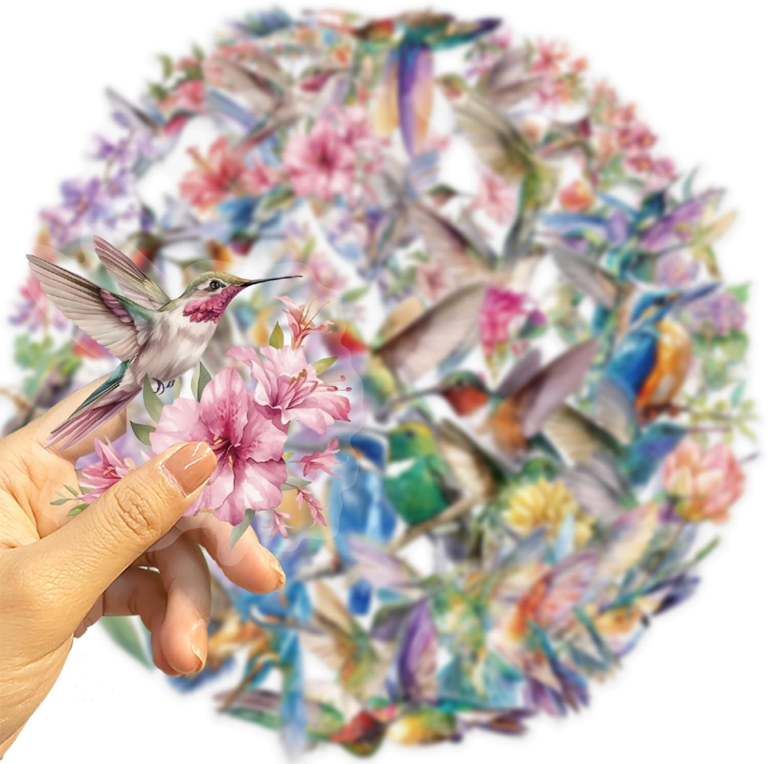 50PCS Transparent Hummingbird Stickers Nature Decals Waterproof Decorative Decal