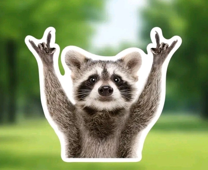 Rocking Raccoon Car Decal Sticker Laptop, Motorcycle Free Shipping 4x4in