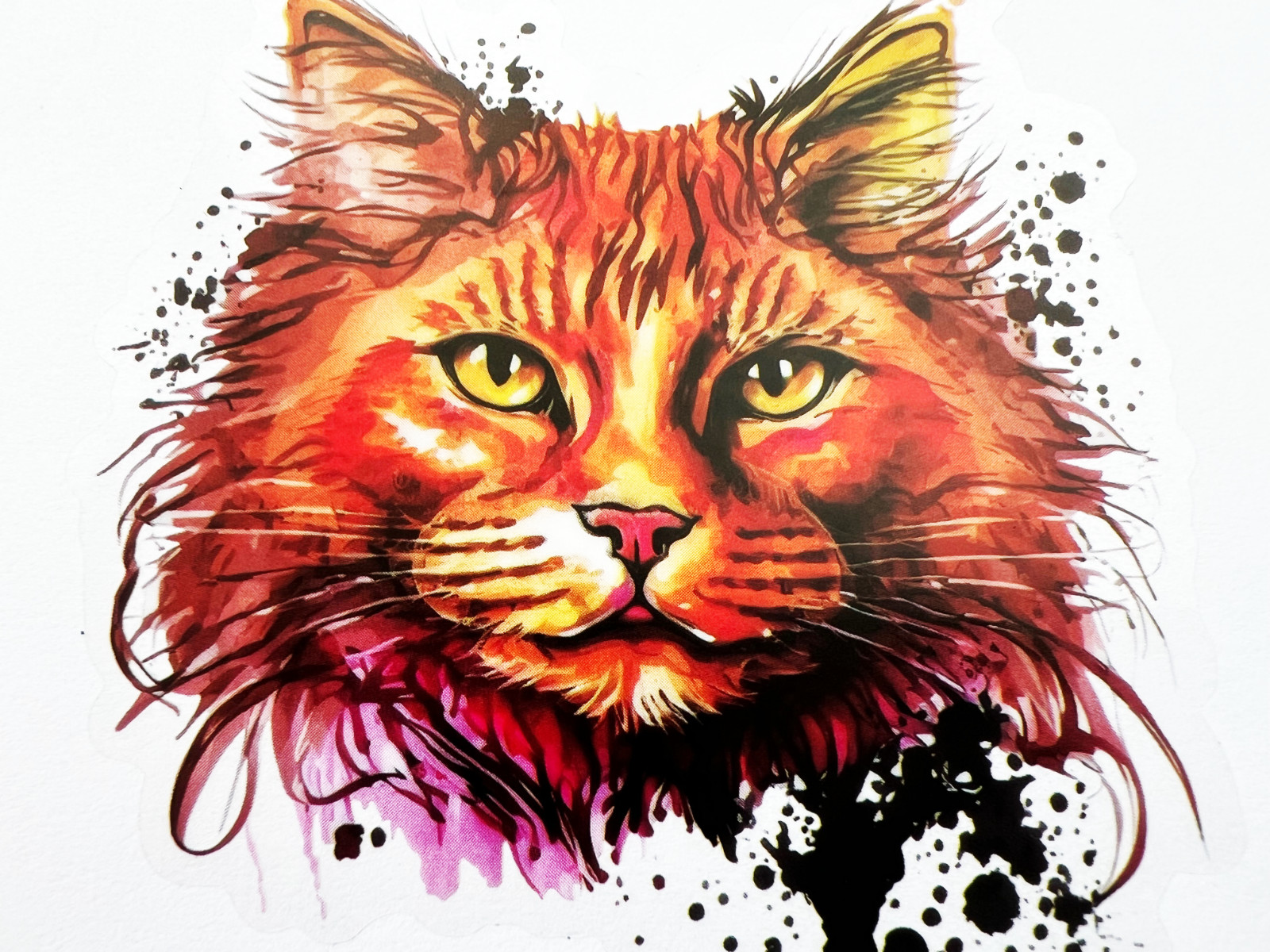 Orange Cat Face 3 Inch Transparent Sticker Kitty Eyes Whiskers Decal