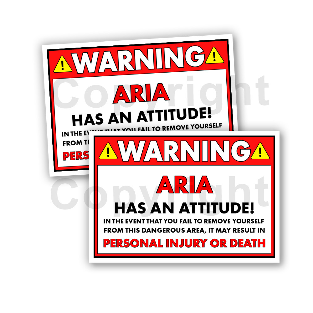 ARIA HAS AN ATTITUDE 2 Funny Warning Stickers 5inch wide orange Set of 2
