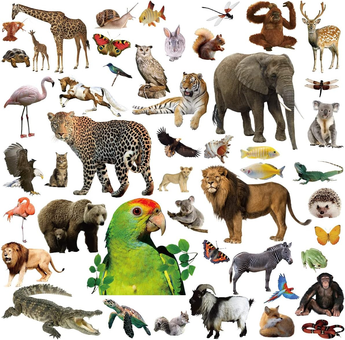 Jungle Animal Stickers for Kids, 8 Sheets, 400 Pcs Safari Themed Decals