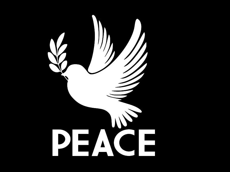 DOVE PEACE anti war symbol Vinyl Decal Car Truck Wall Sticker CHOOSE SIZE COLOR