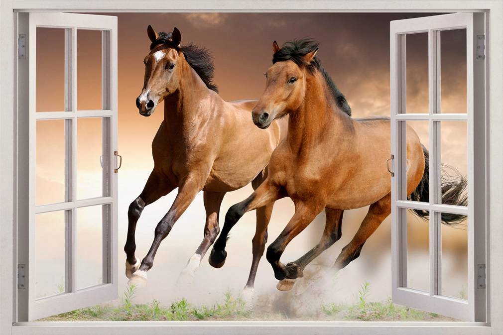 HORSES 3D Window View Decal WALL STICKER DIY Decor Art Mural Animals